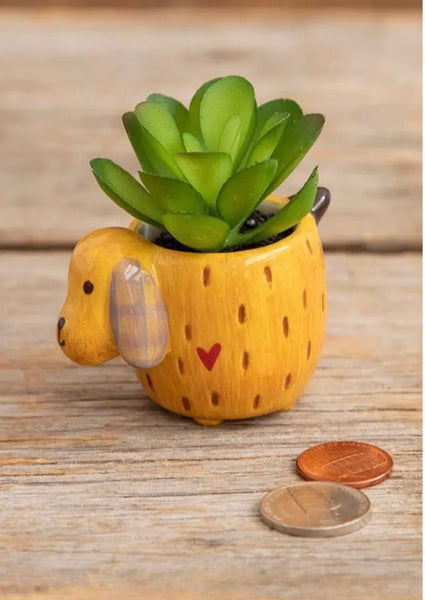 succulents dogs Natural Life Dog Faux Succulent