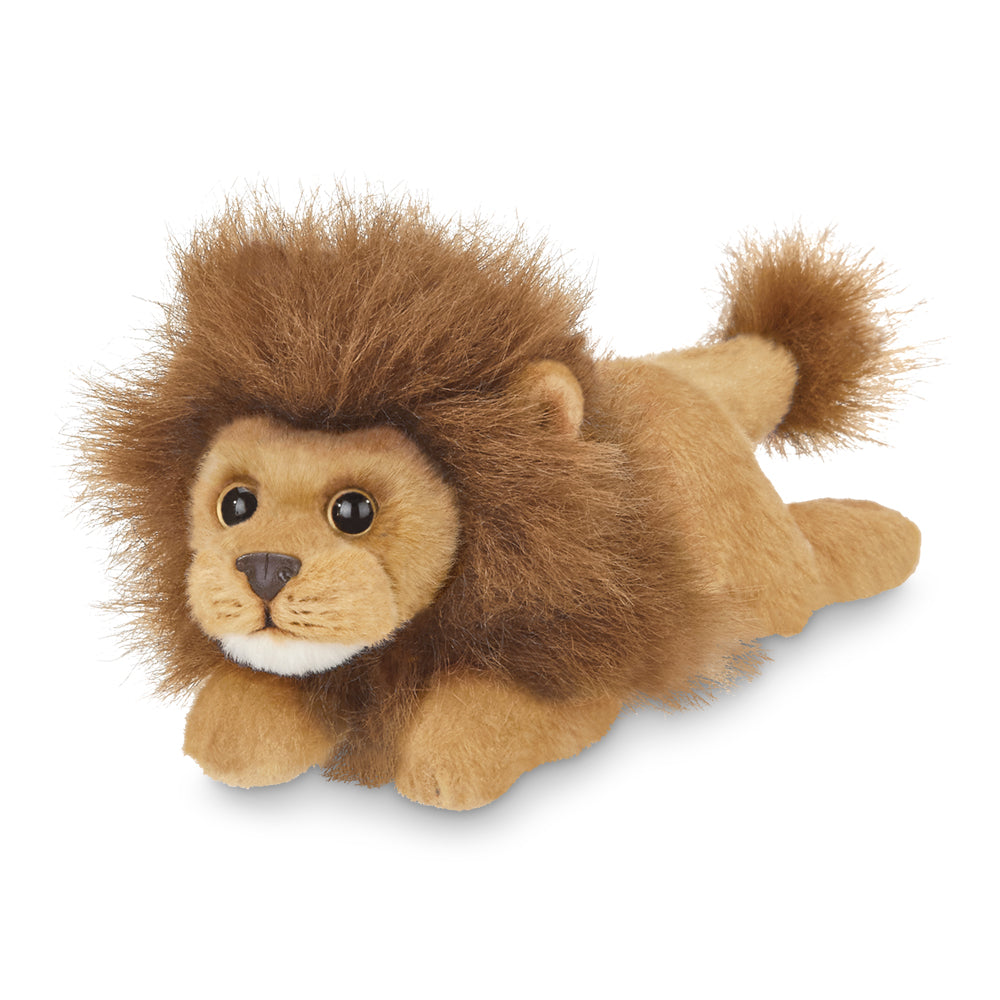 Lil Prince the lion