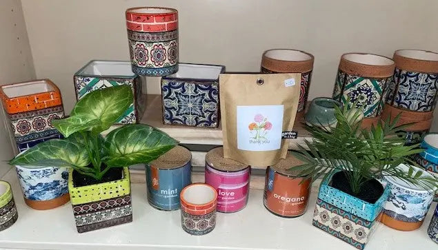 Wholesale Trays & Containers