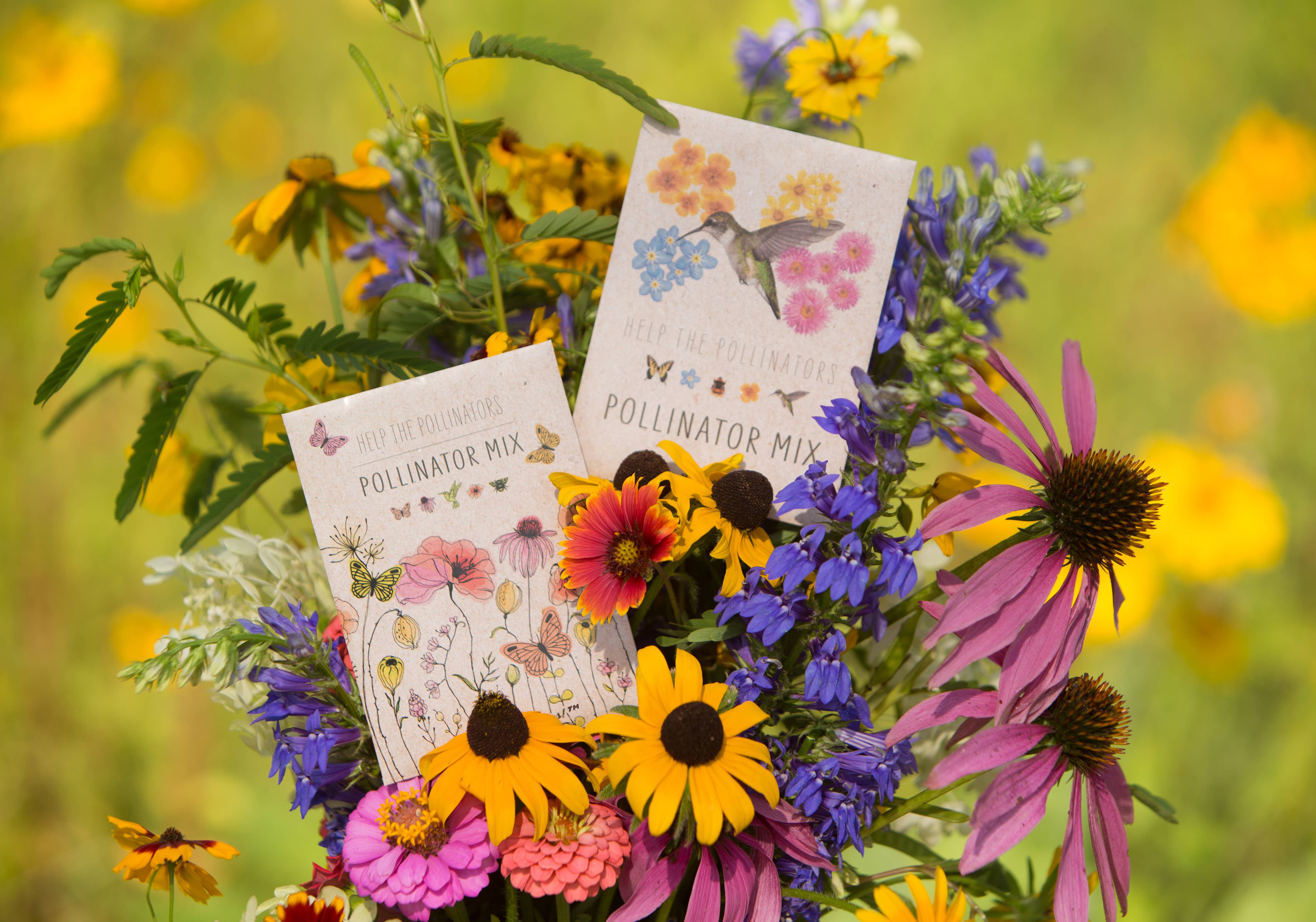 Bentley Seed Co. - Pollinator Butterfly - Wildflower Mix Seed Packets