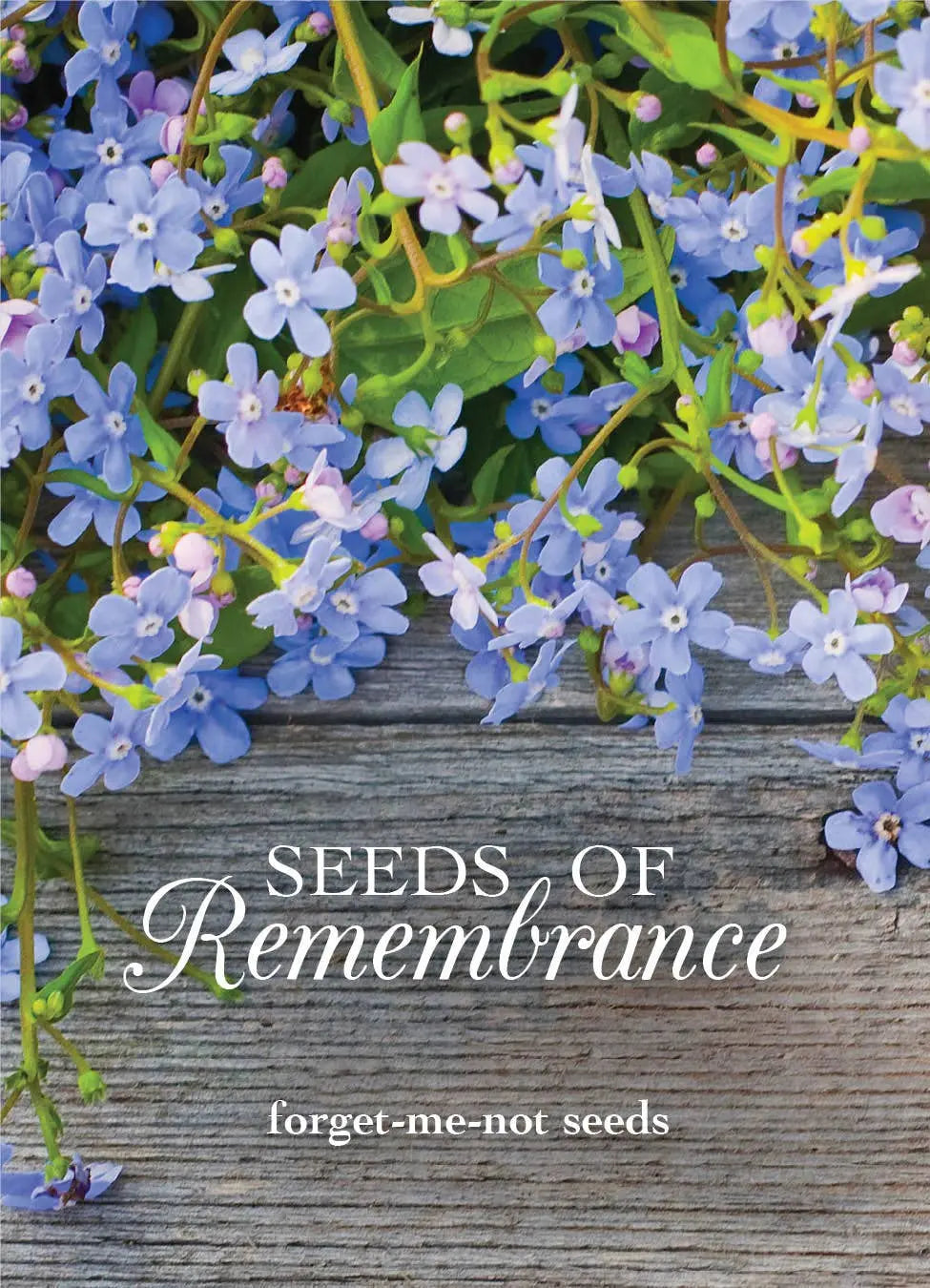 where to plant forget me not seeds Forget-Me-Not Memorial Seed Packet