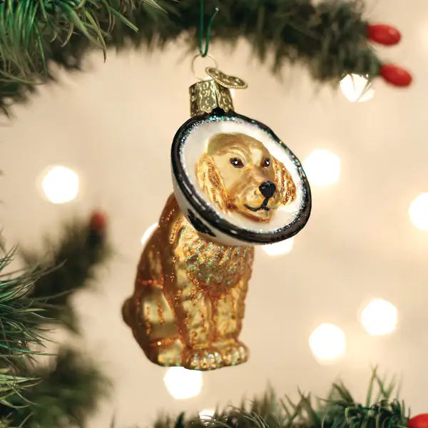 Old World Christmas - Cone Of Shame Dog Ornament