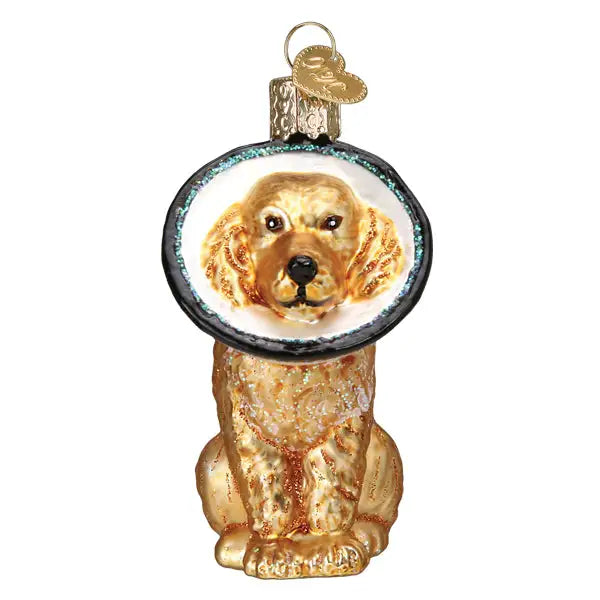 Old World Christmas - Cone Of Shame Dog Ornament