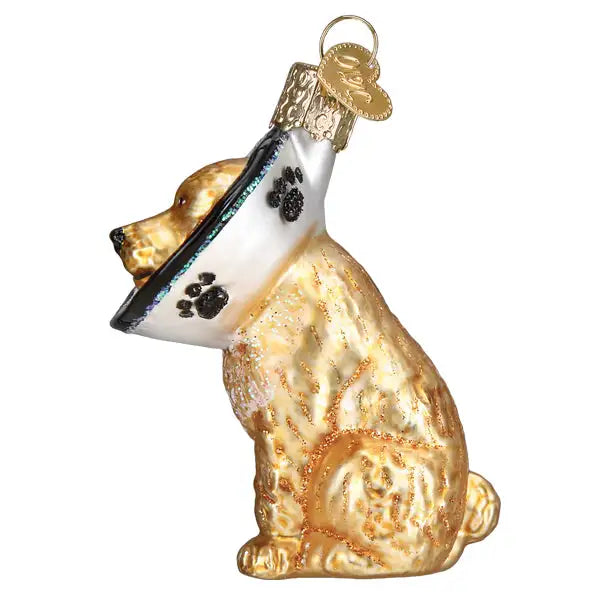 Old World Christmas - Cone Of Shame Dog Ornament