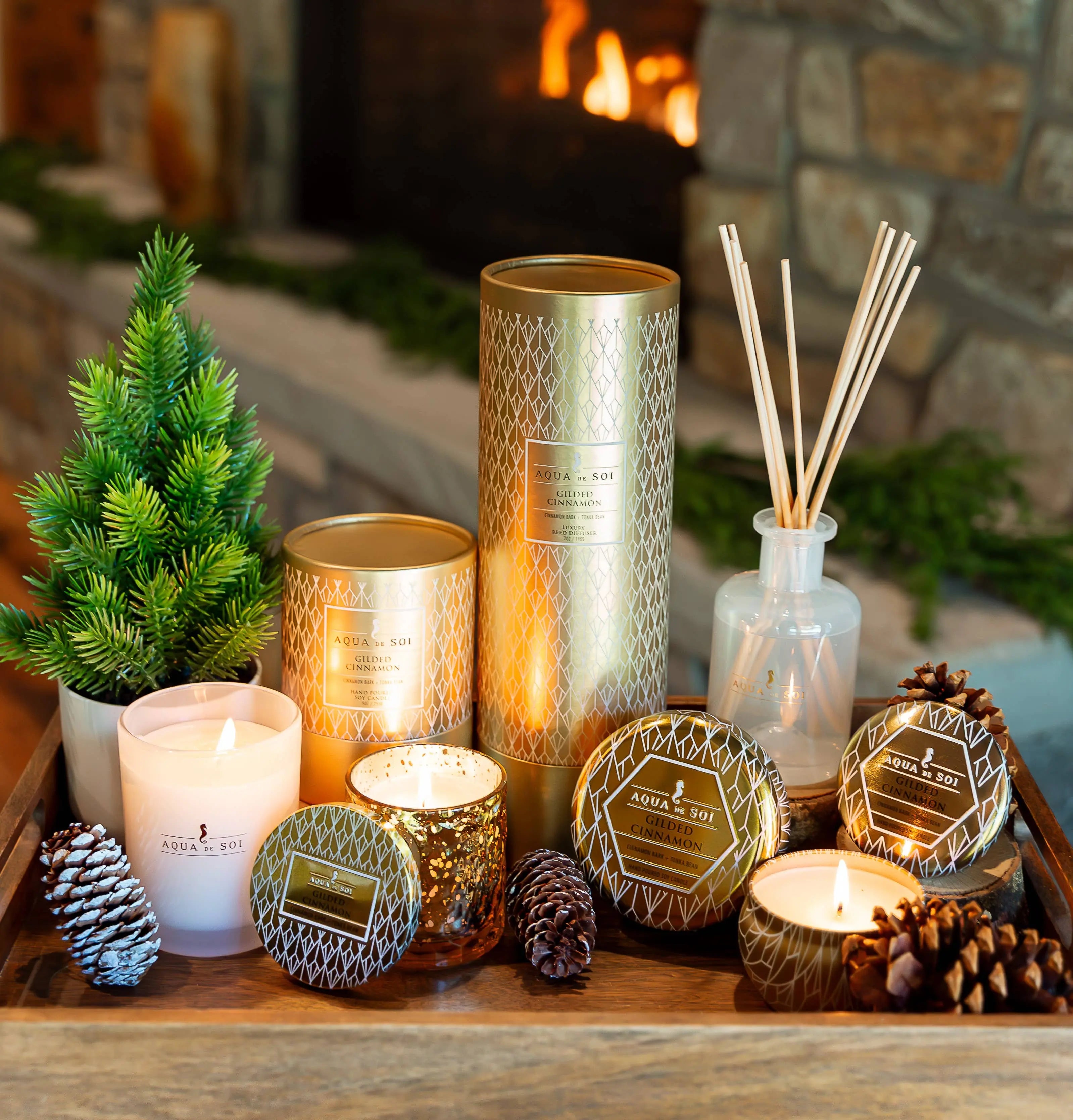 Gilded Cinnamon 5oz Holiday Jar Candle - Cinnamon Bark & Tonka Bean