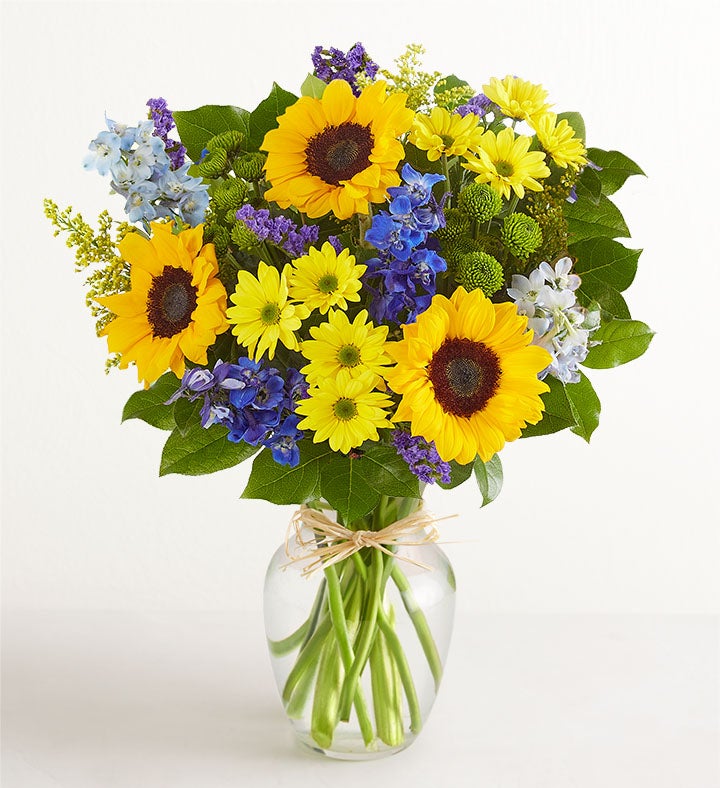 Campos de Europa en verano