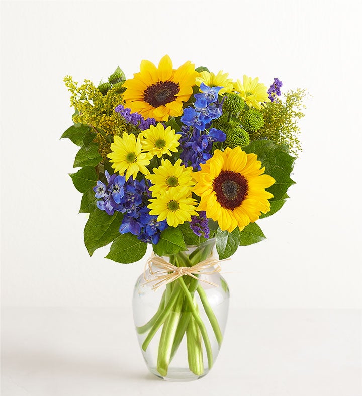 Campos de Europa en verano