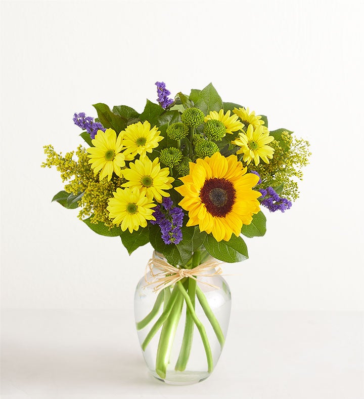 Campos de Europa en verano