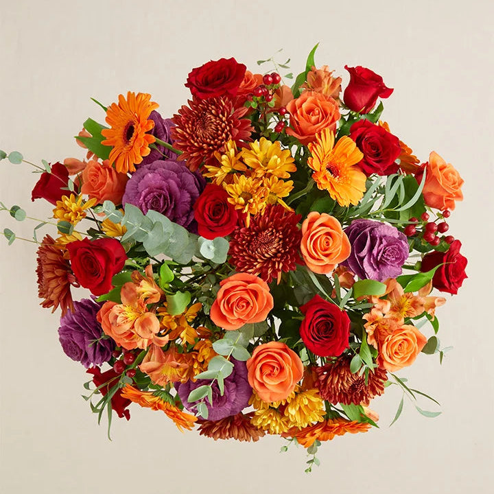 Floristería James Cress - Un jardín de esplendor para el otoño