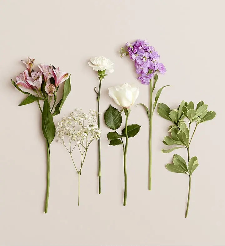 Lovely Lavender Medley