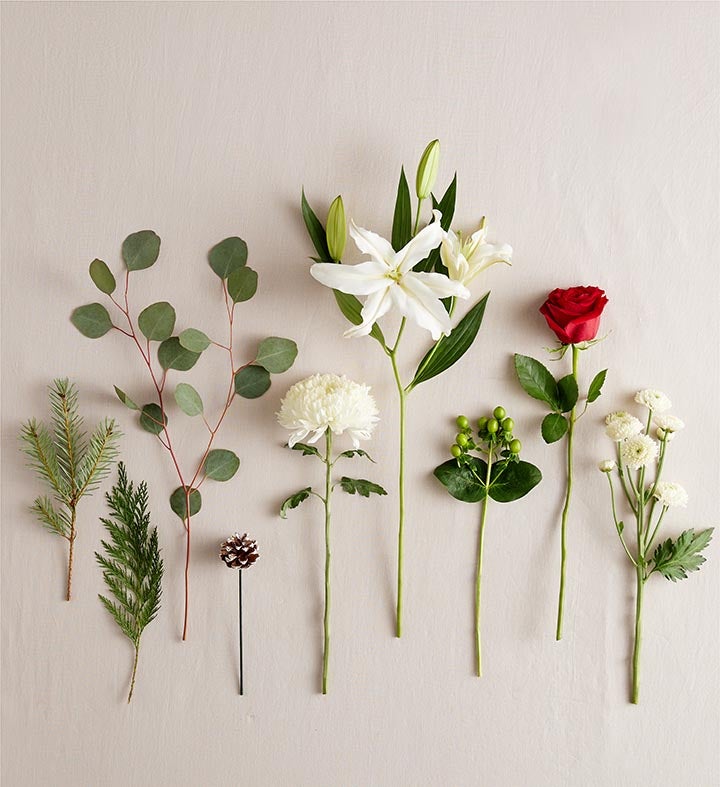 Floristería James Cress: Un jardín de esplendor para las fiestas