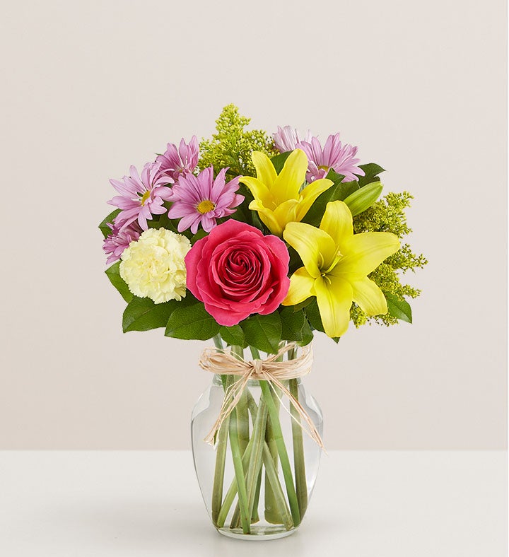 Campos de Europa para la primavera