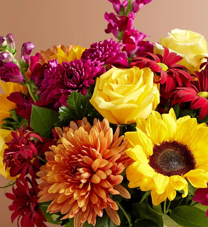 Expresiones del Ramo de Otoño