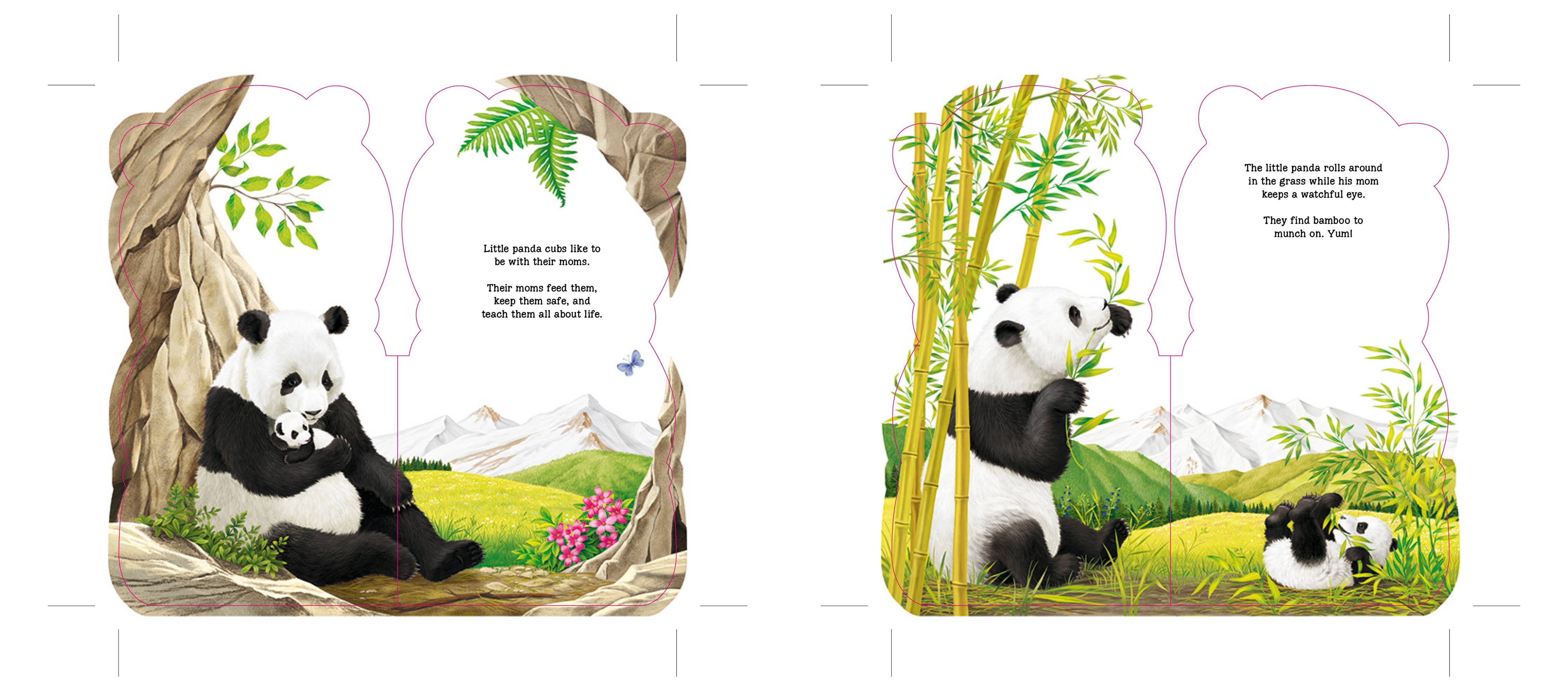 Little Panda Bear Board Book