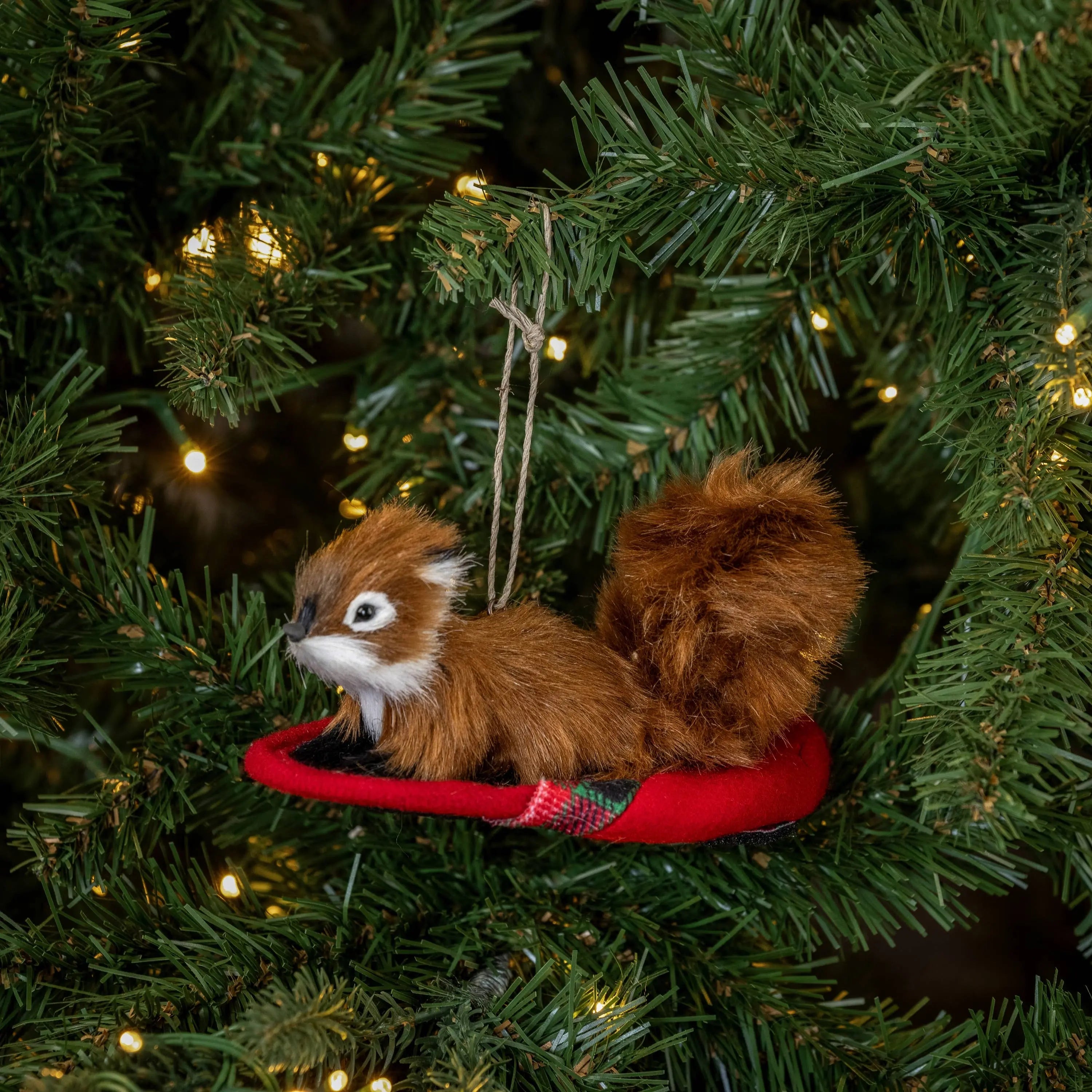 Squirrel in Slipper Ornament 5.25