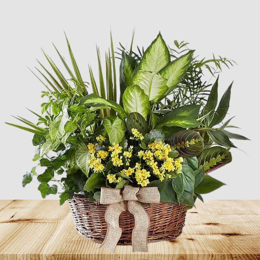 Jardín de platos europeo