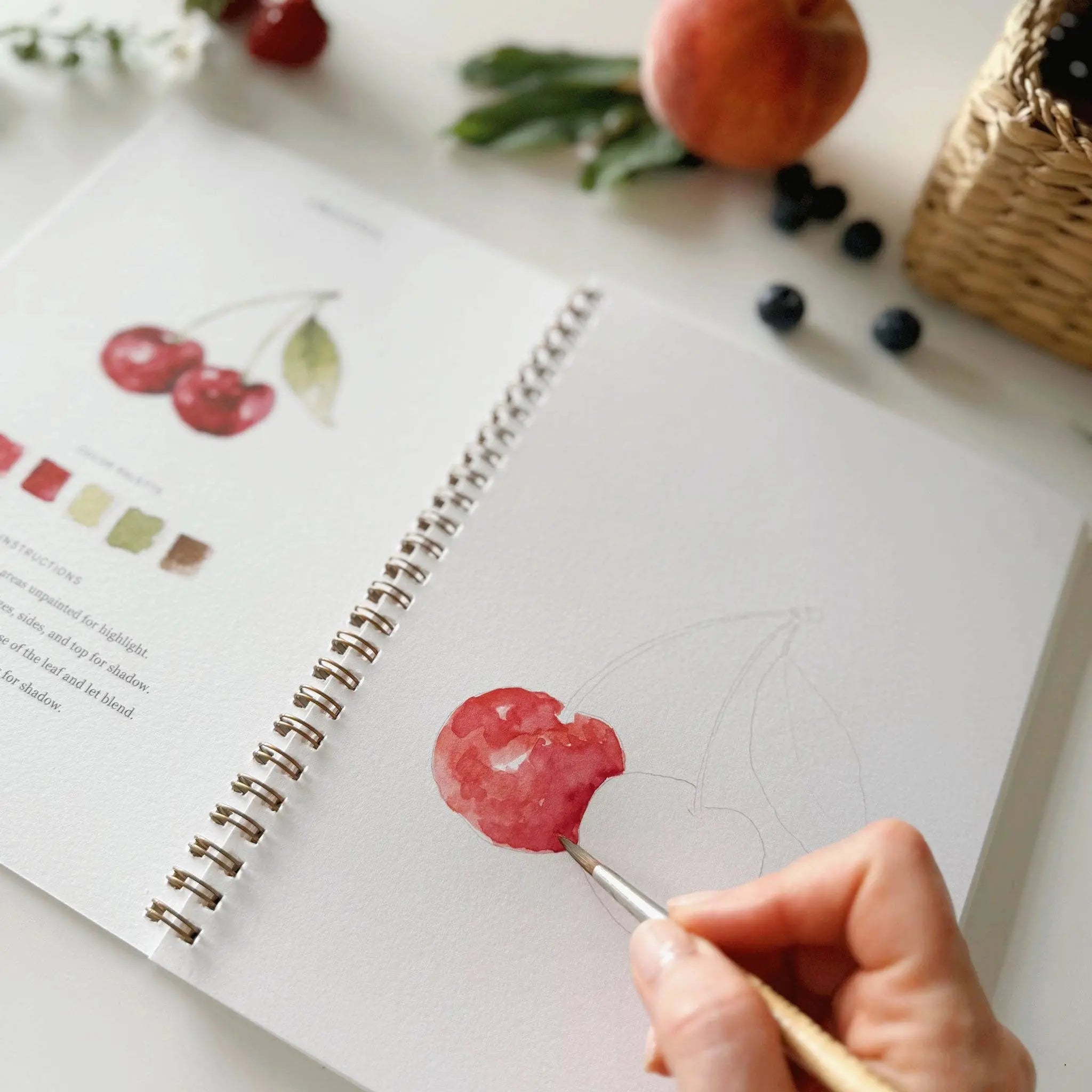 Fruit Watercolor Workbook - 12 Beginner-Friendly Paintings - Emily Lex Studio