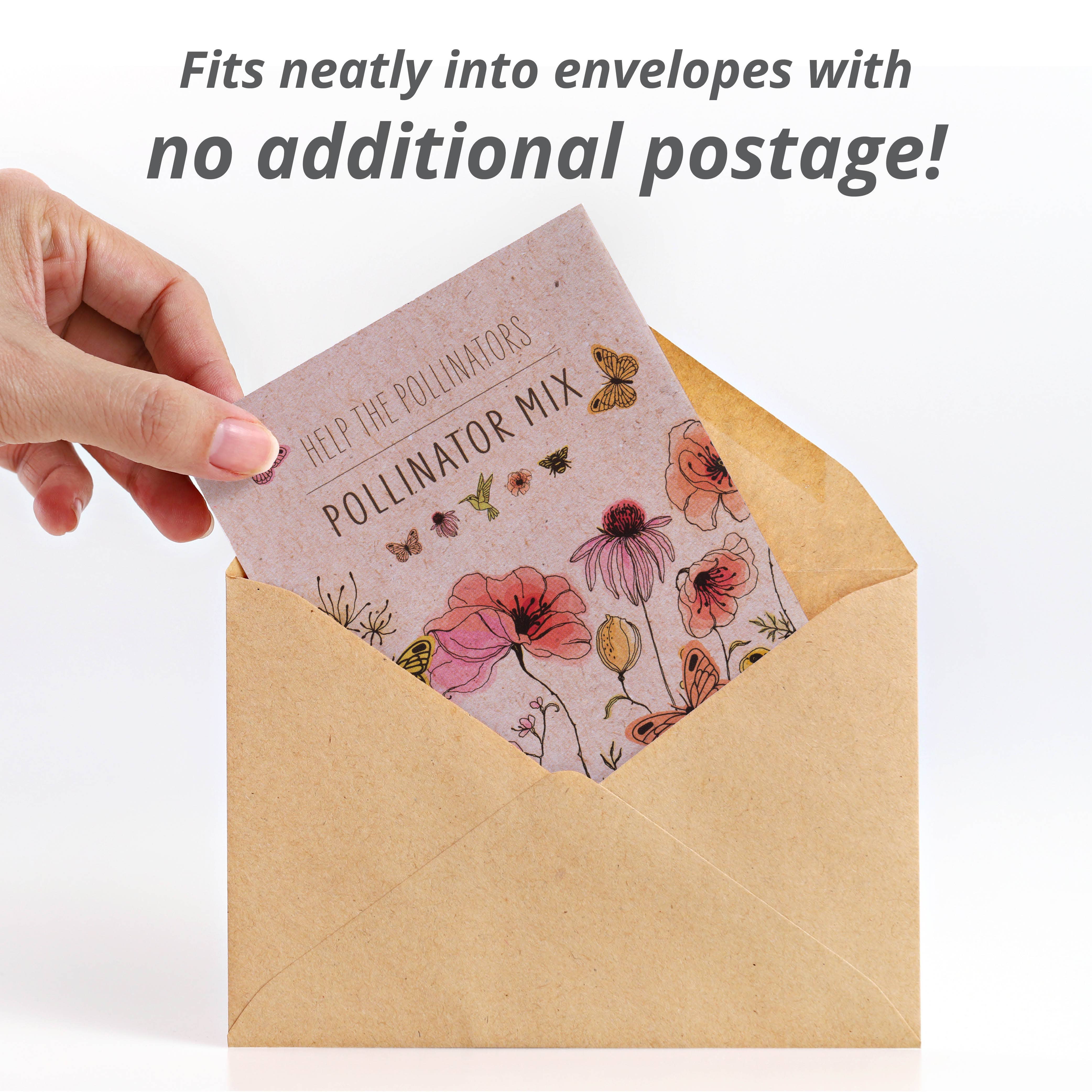 Bentley Seed Co. - Pollinator Butterfly - Wildflower Mix Seed Packets