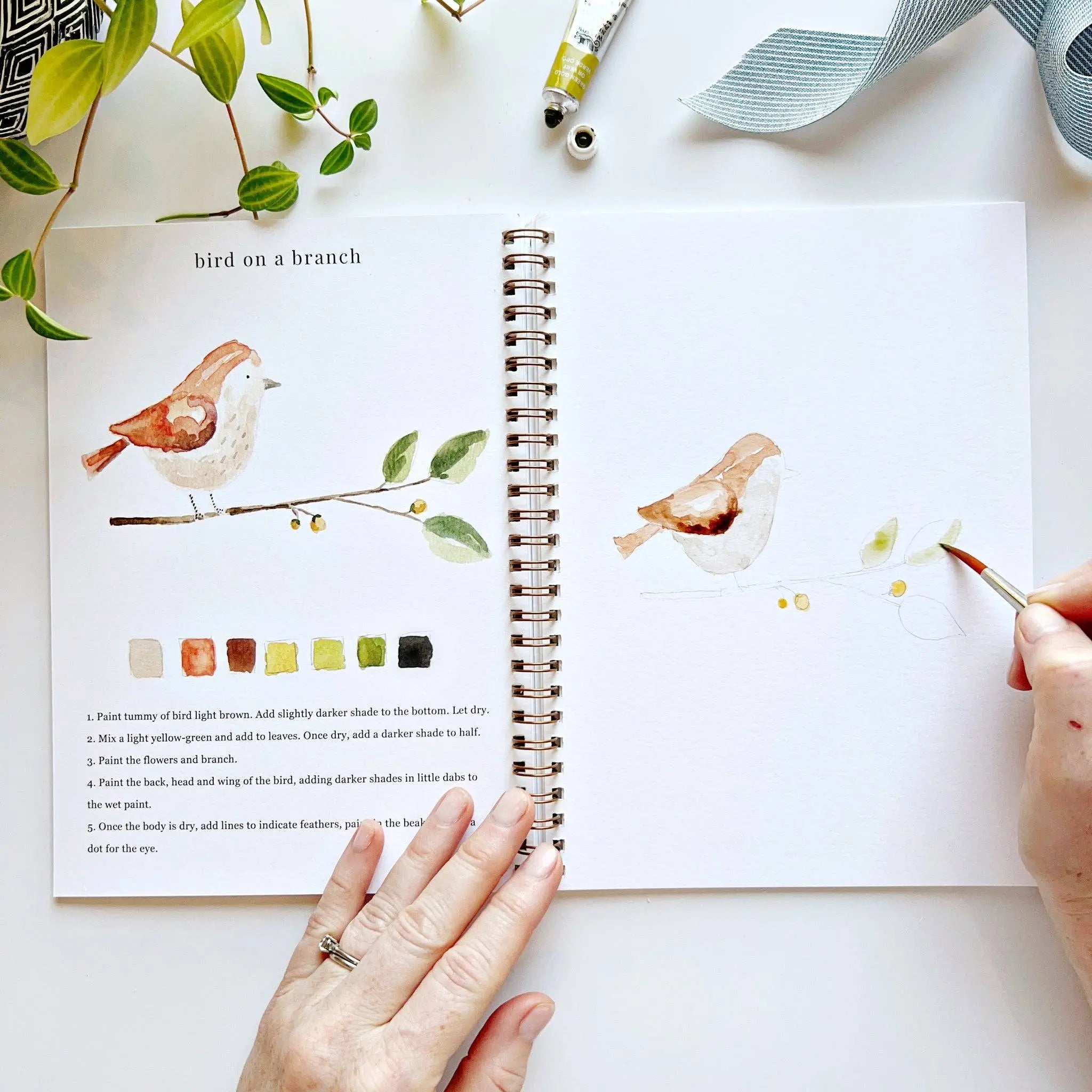 Animals Watercolor Workbook - 12 Beginner-Friendly Paintings - Emily Lex Studio