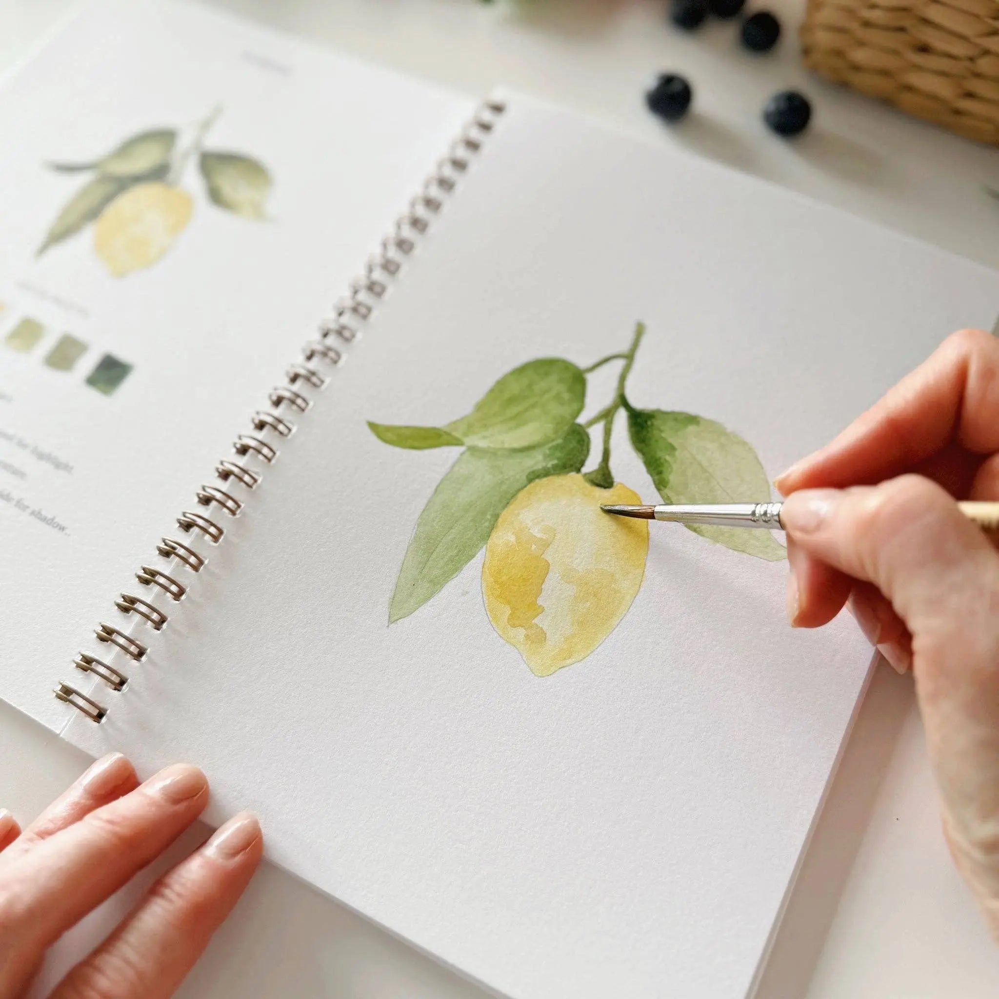 Fruit Watercolor Workbook - 12 Beginner-Friendly Paintings - Emily Lex Studio