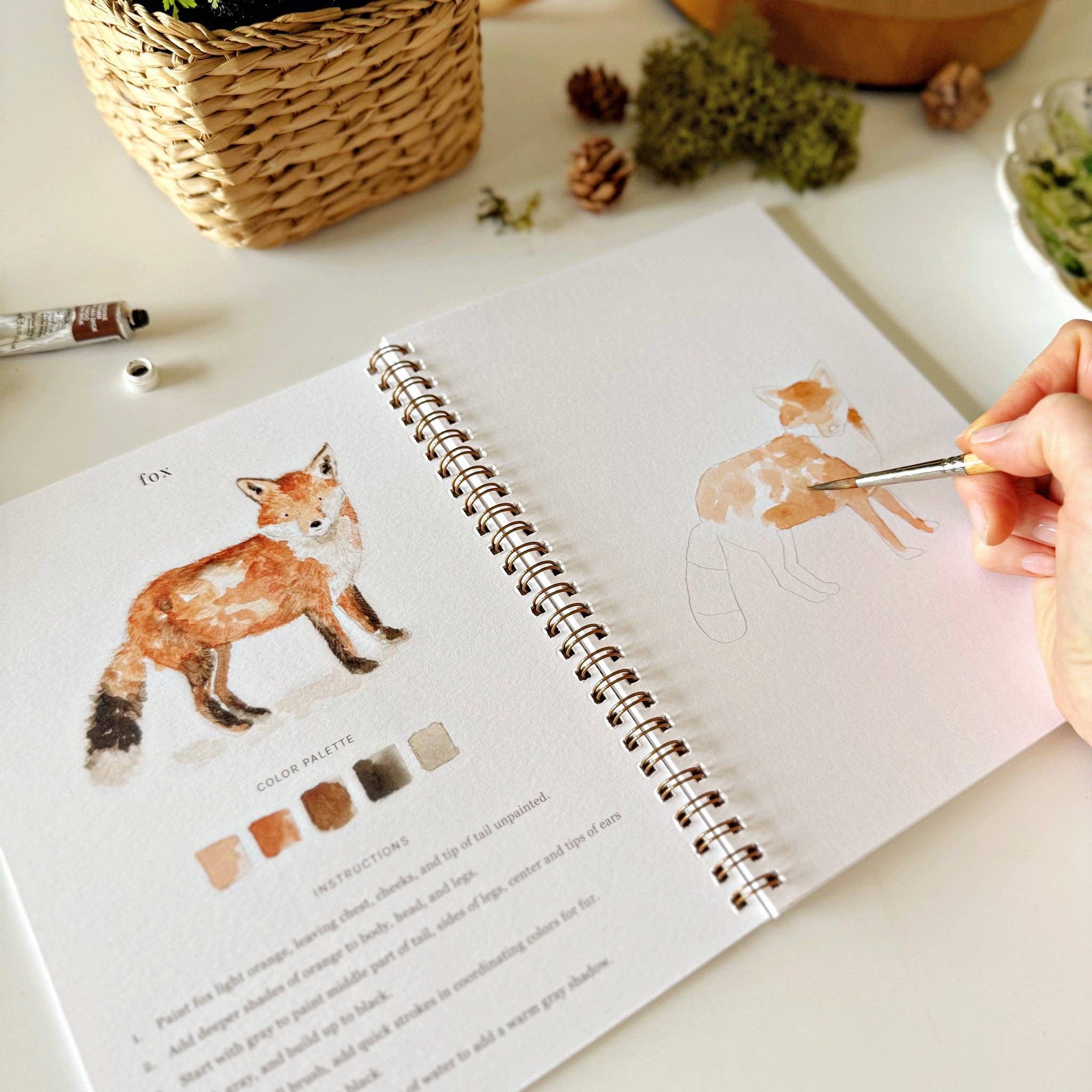 Woodland Watercolor Workbook - 12 Beginner-Friendly Paintings - Emily Lex Studio
