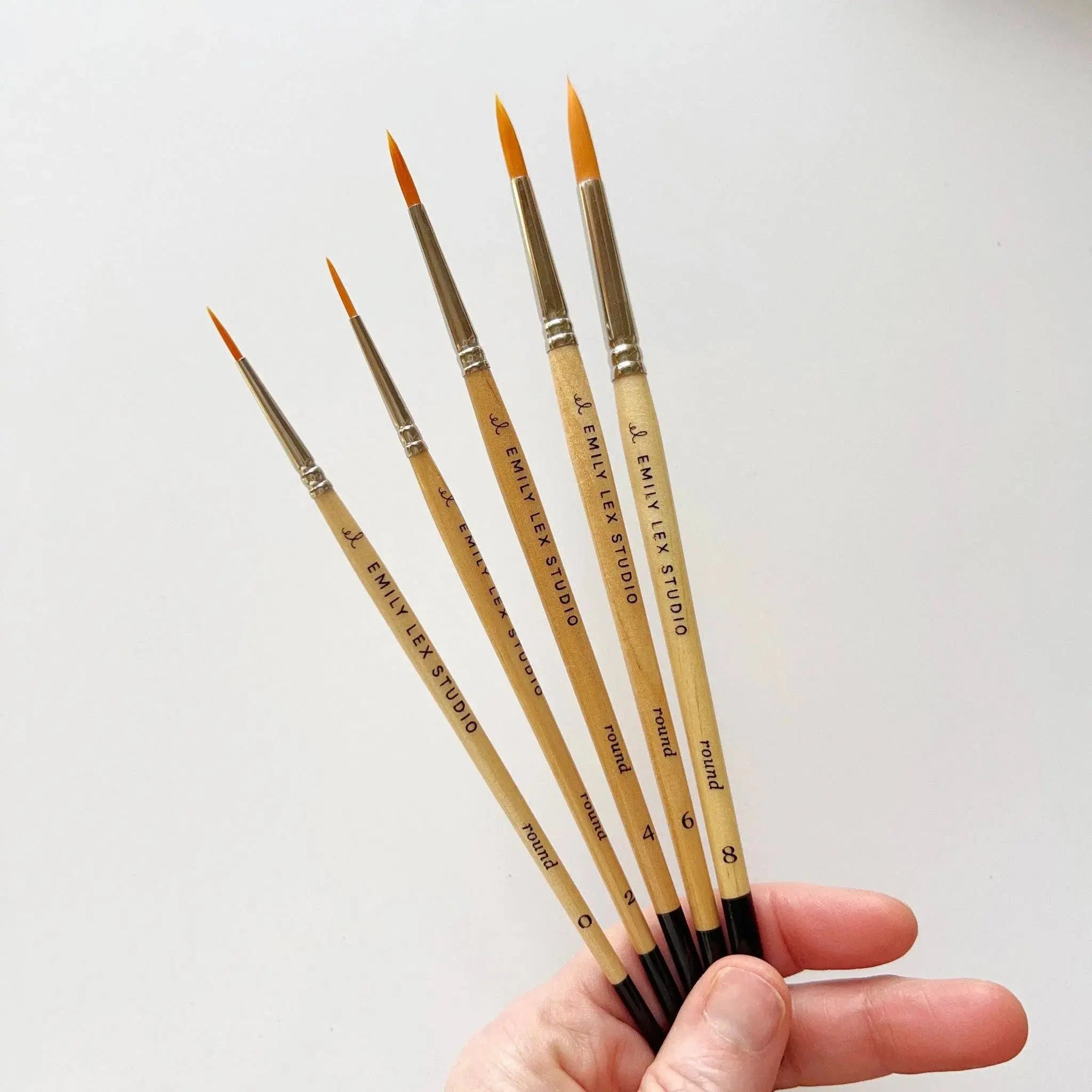 emily lex studio - Watercolor paintbrush emily lex studio