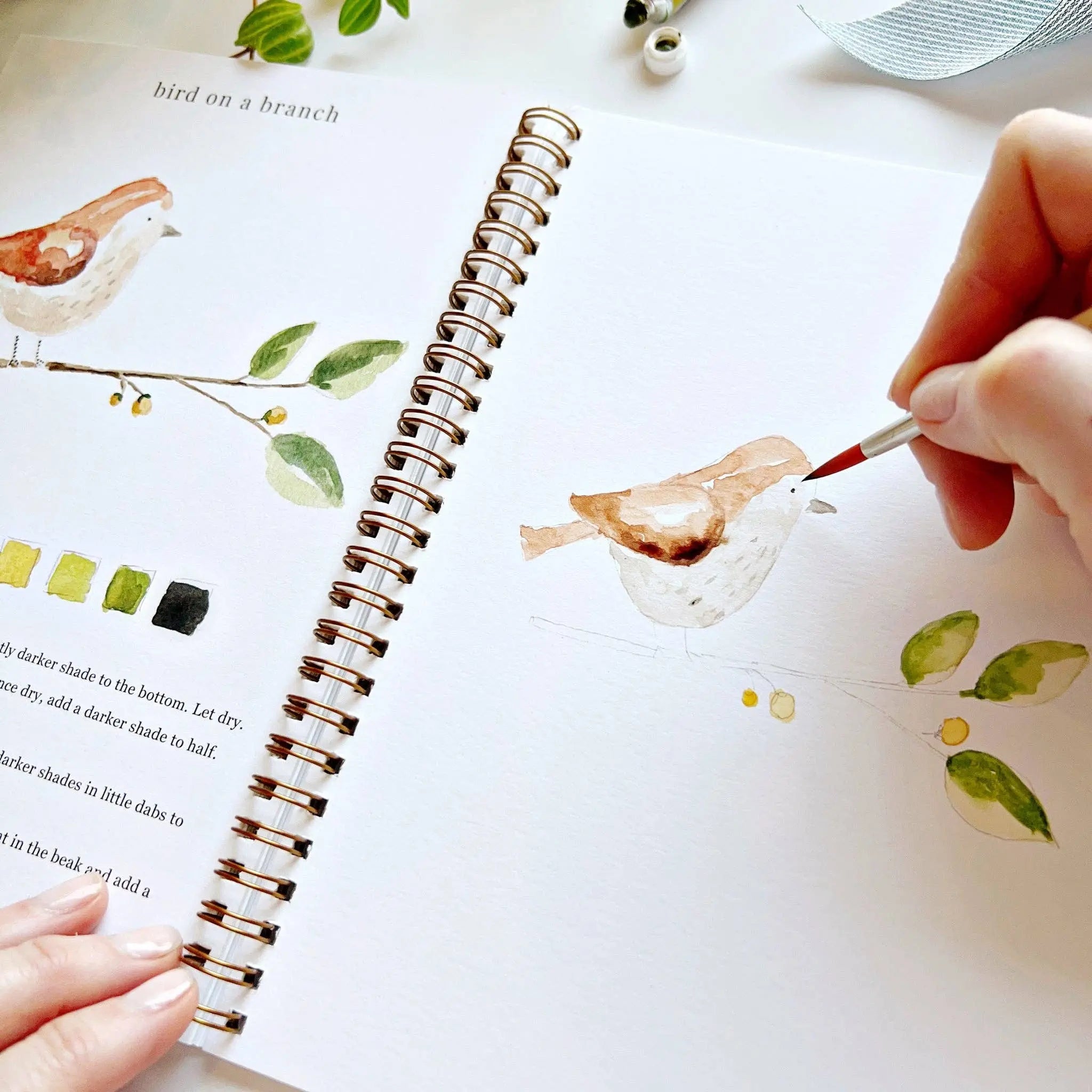 Animals Watercolor Workbook - 12 Beginner-Friendly Paintings - Emily Lex Studio