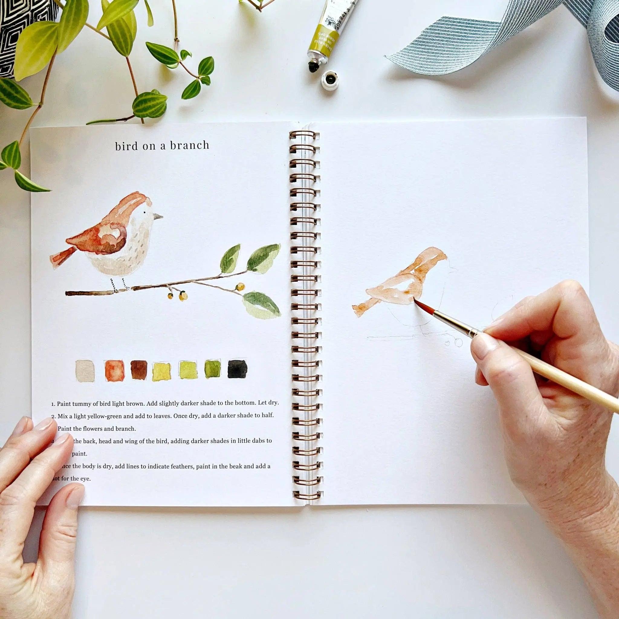 Animals Watercolor Workbook - 12 Beginner-Friendly Paintings - Emily Lex Studio