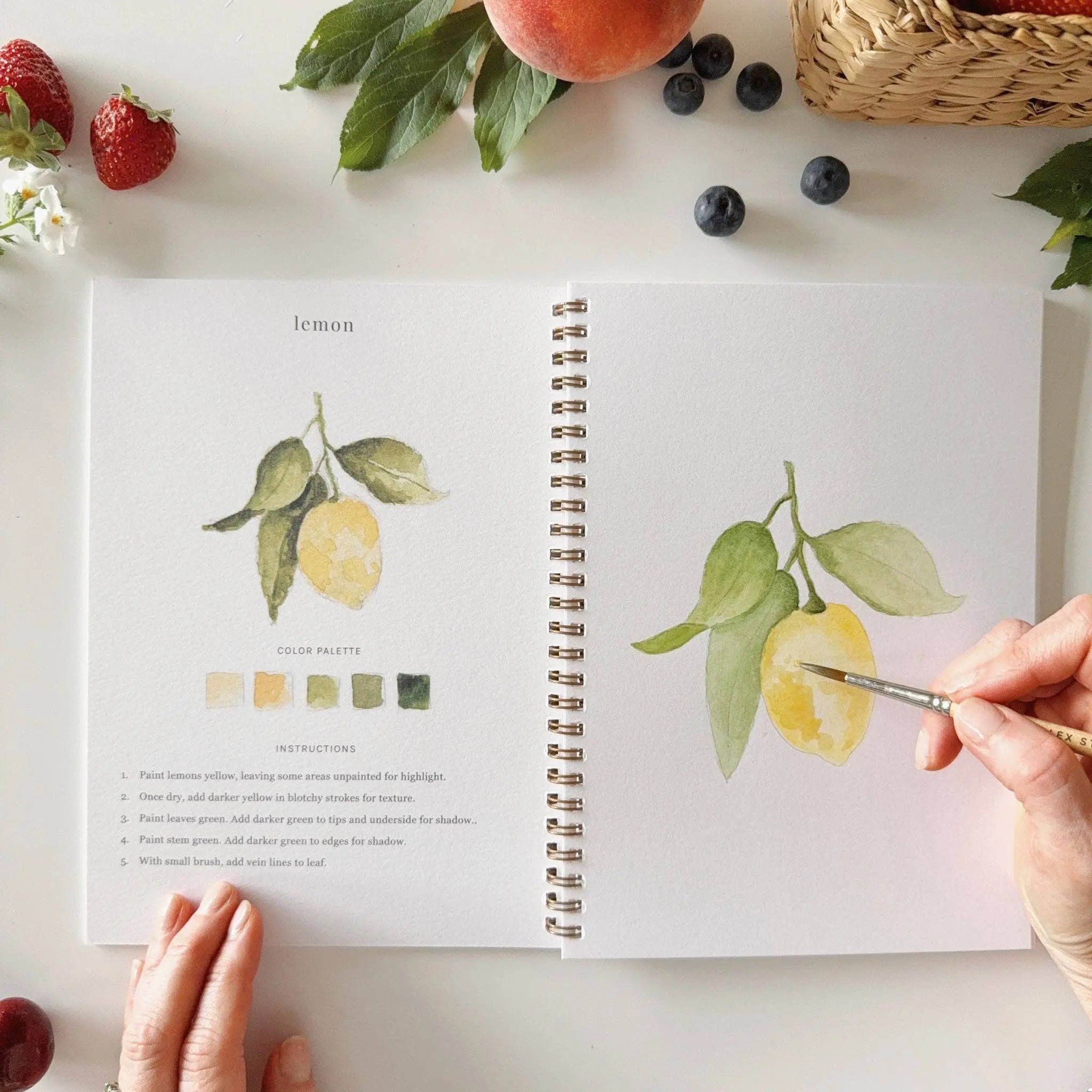 Fruit Watercolor Workbook - 12 Beginner-Friendly Paintings - Emily Lex Studio