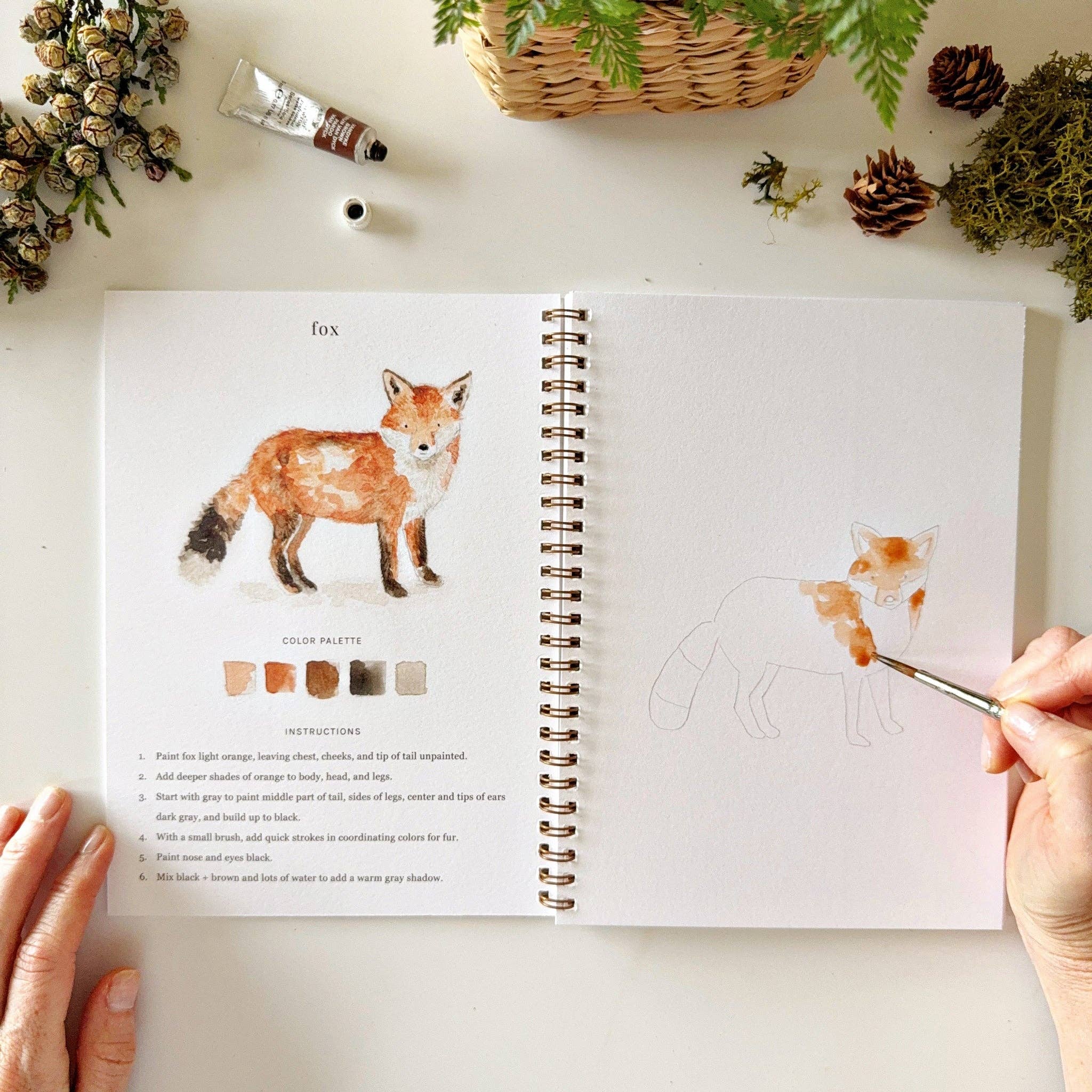 Woodland Watercolor Workbook - 12 Beginner-Friendly Paintings - Emily Lex Studio