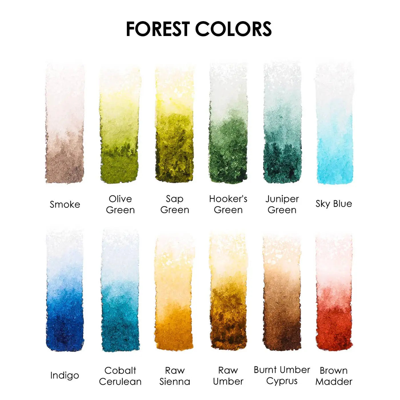 Grabie - Set de bolsillo de acuarelas de 12 colores del bosque