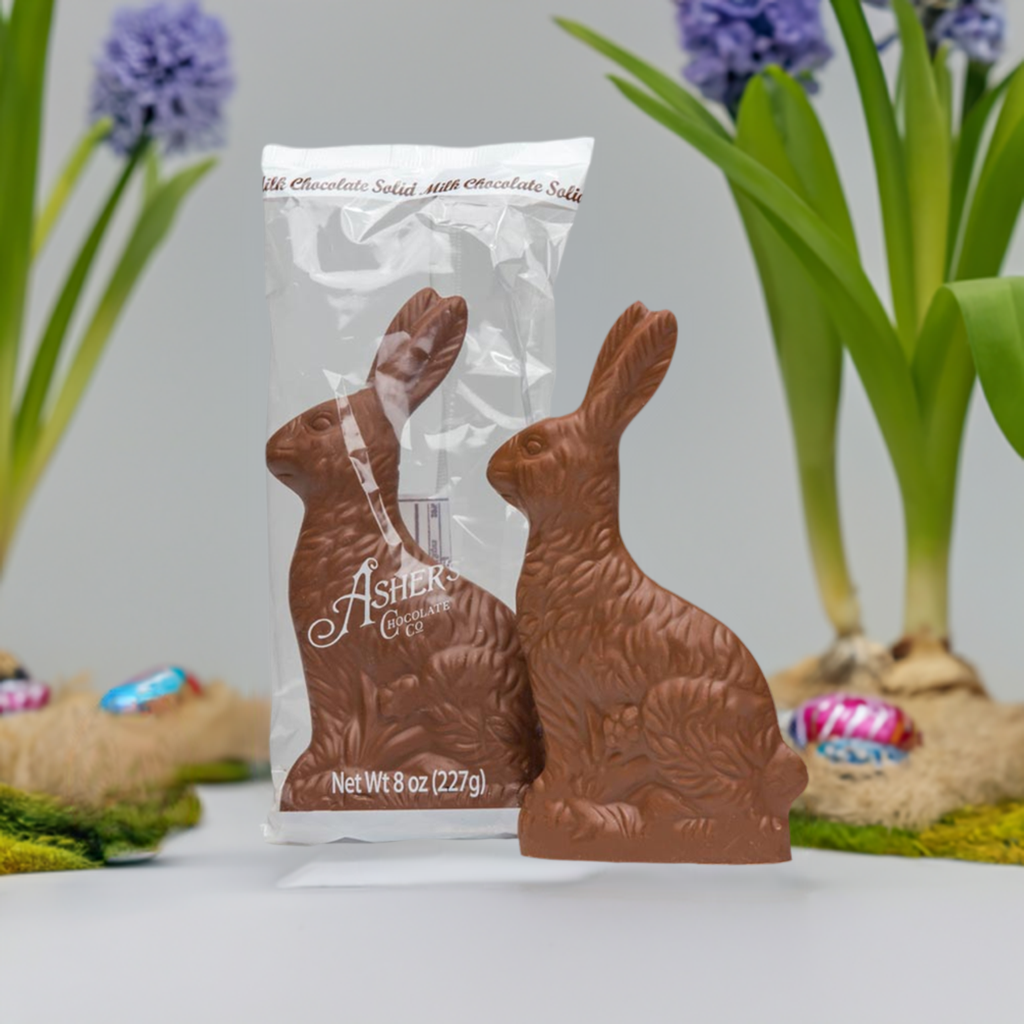 Asher's Solid Milk Chocolate Easter Bunny