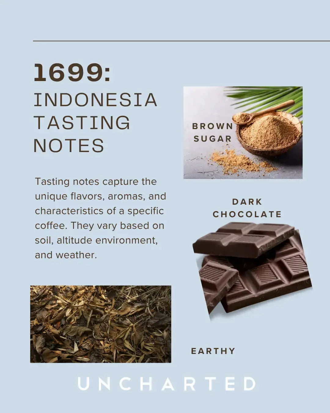 Indonesia Single-Origin 9oz Coffee | Fair Trade Sumatran Roast