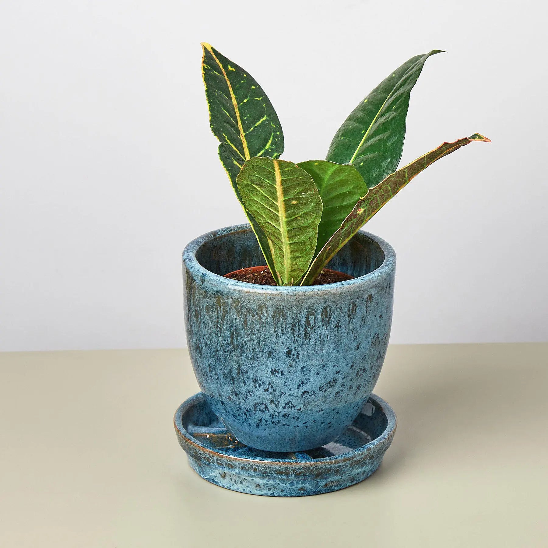Liberty Bell Planter