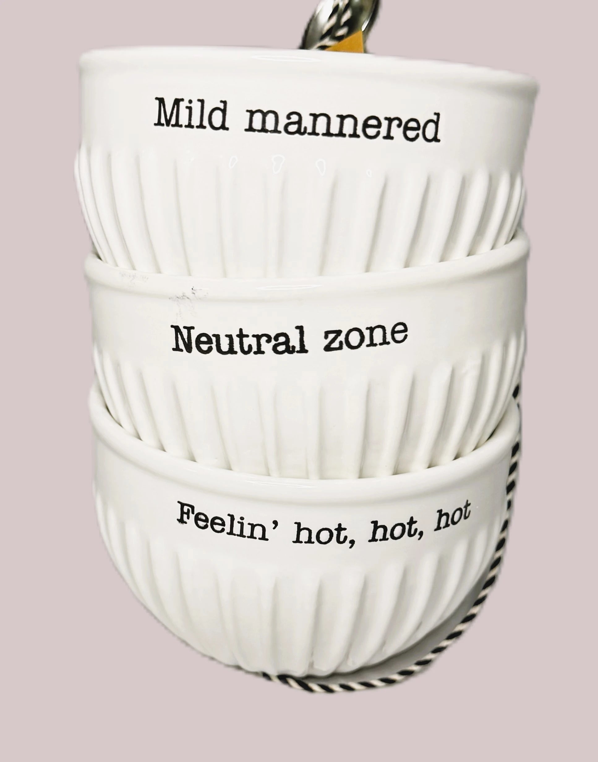 Juego de cuencos para salsa Mud Pie (suave, mediana y picante)