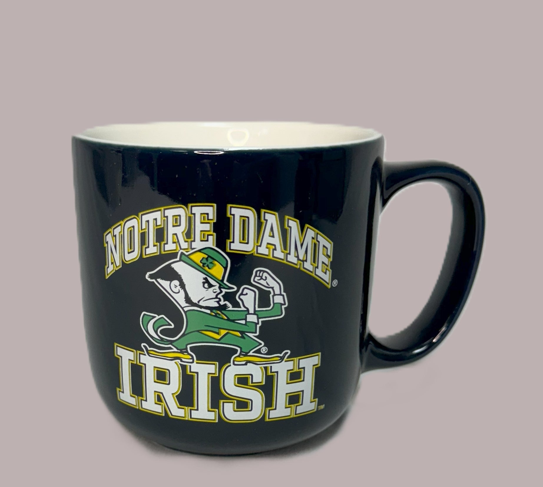 Notre Dame 15oz Striped Mug