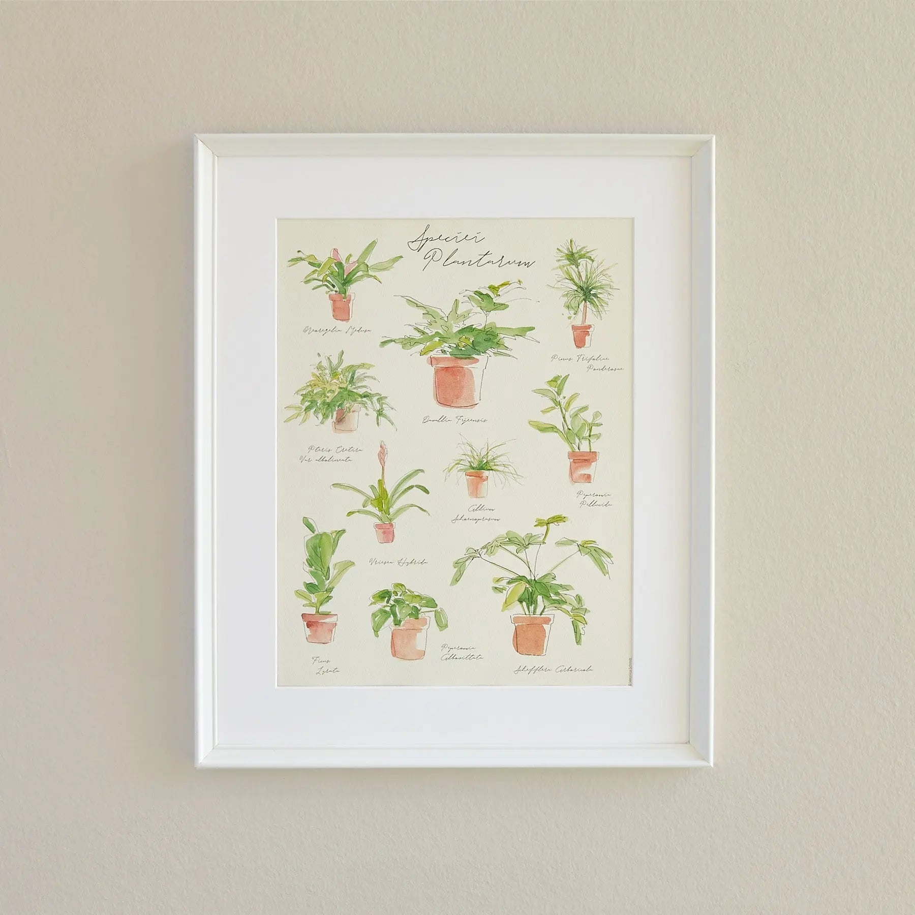 Plant Species Poster
