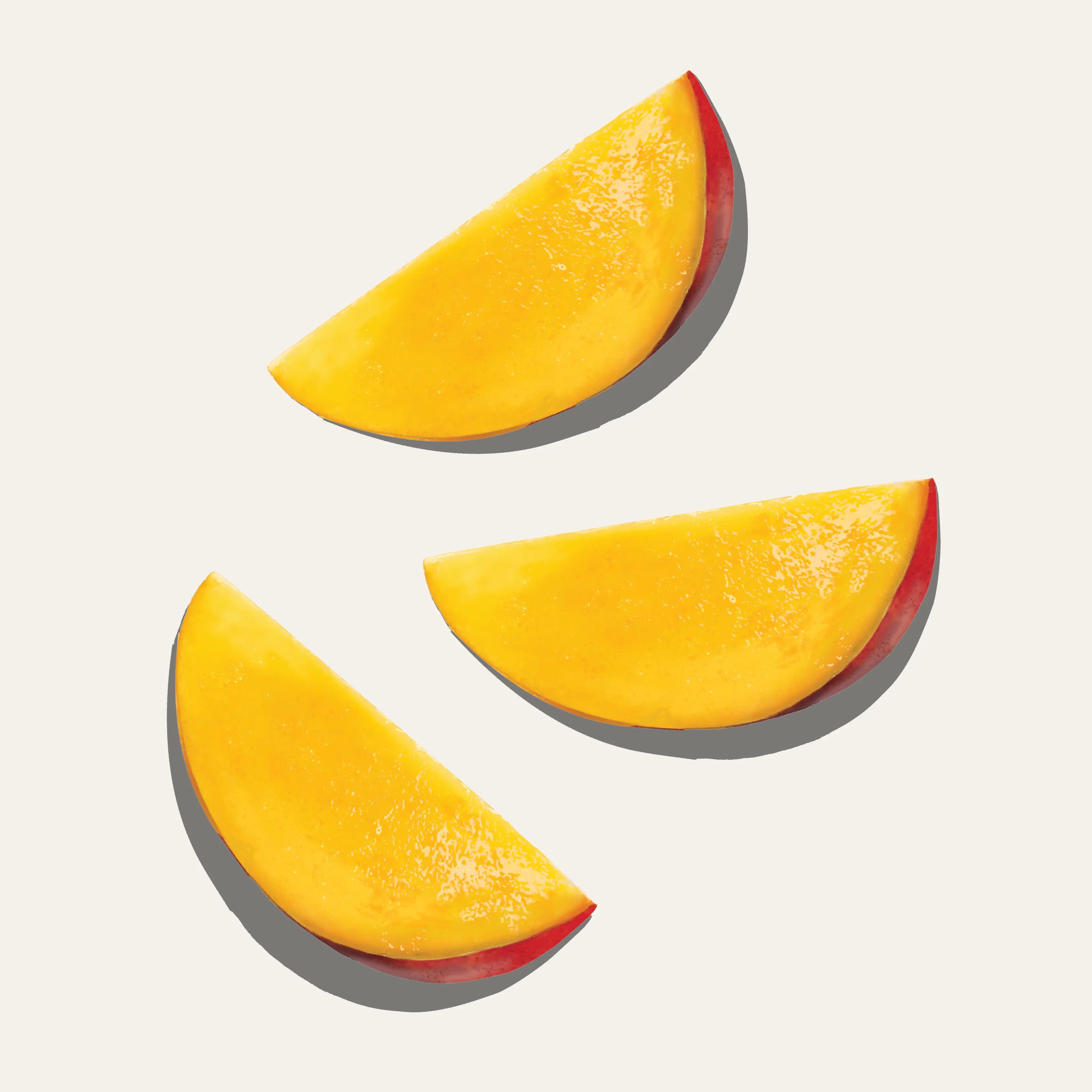 Organic Dried Mango 3.5oz (100g) | Colombia