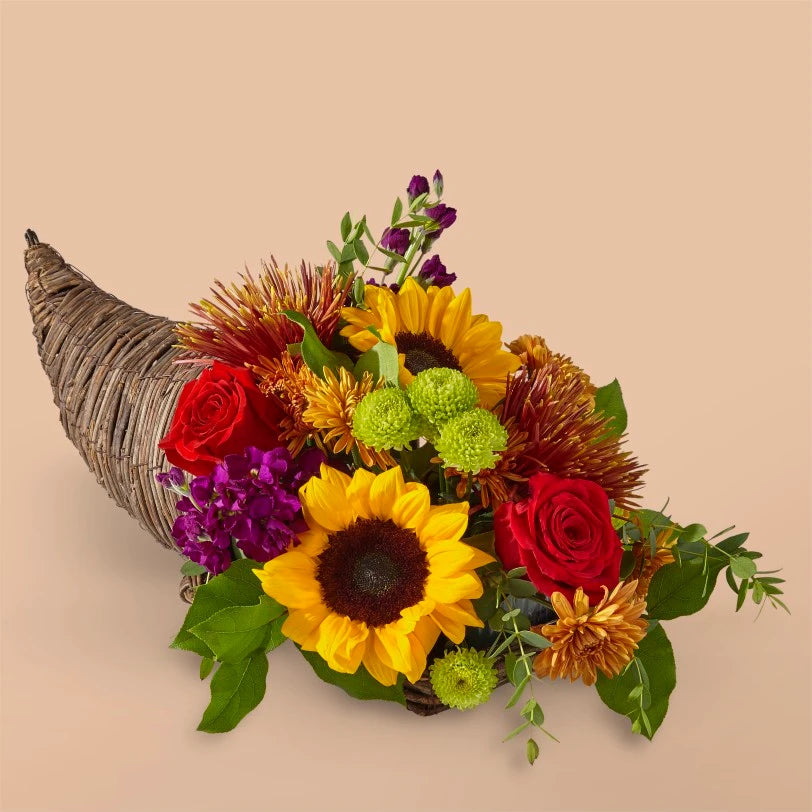 Floristería James Cress - Regalo para el Día de Acción de Gracias entre amigos