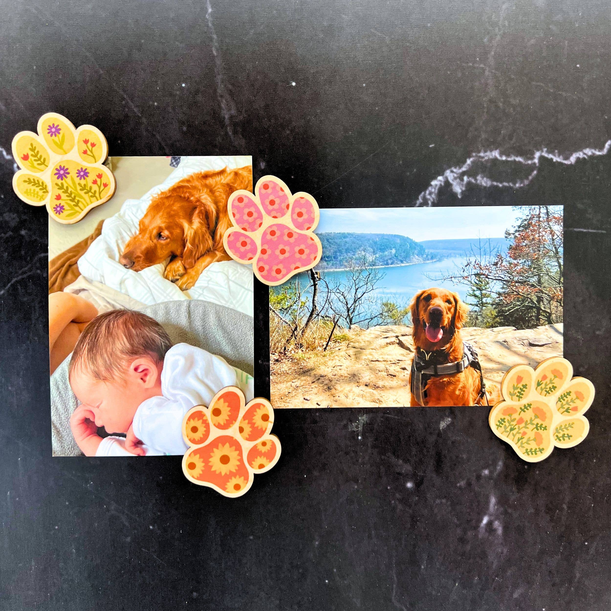 Floral Dog Paw Print Magnet Set - 4 Magnets - Home Decor Gift