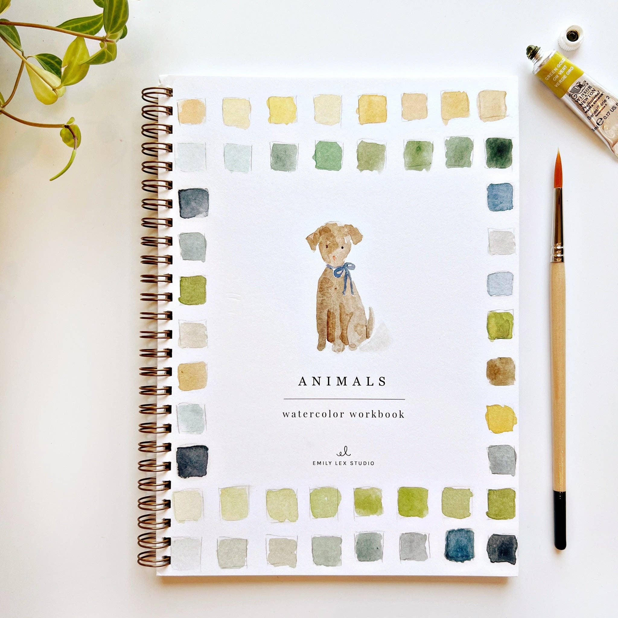 Animals Watercolor Workbook - 12 Beginner-Friendly Paintings - Emily Lex Studio