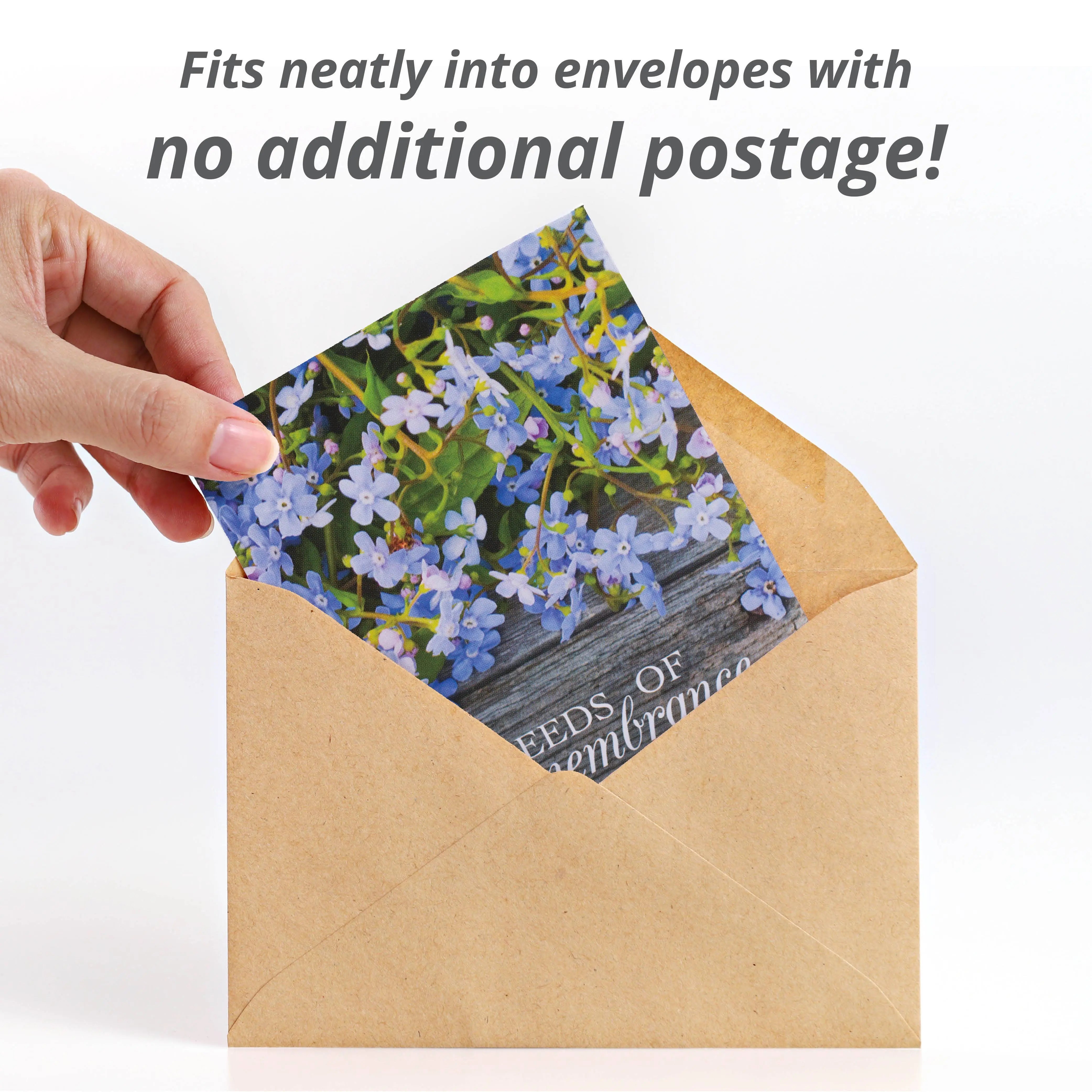 box of flower seeds Seeds of Remembrance Memorial - Forget Me Not Seed Packets
