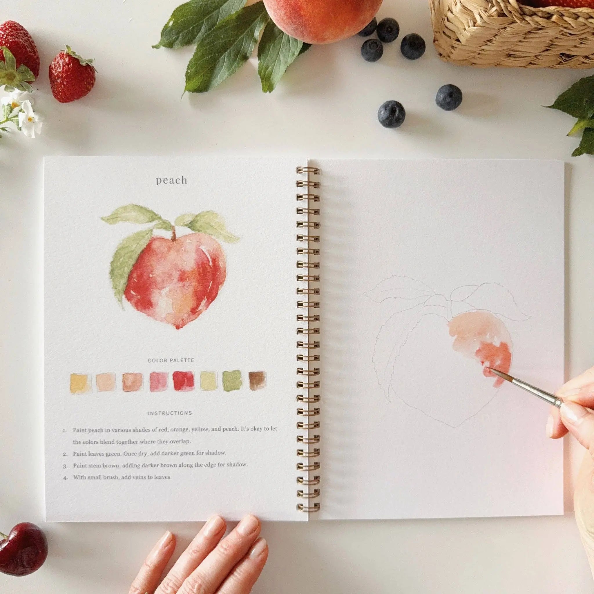 Fruit Watercolor Workbook - 12 Beginner-Friendly Paintings - Emily Lex Studio