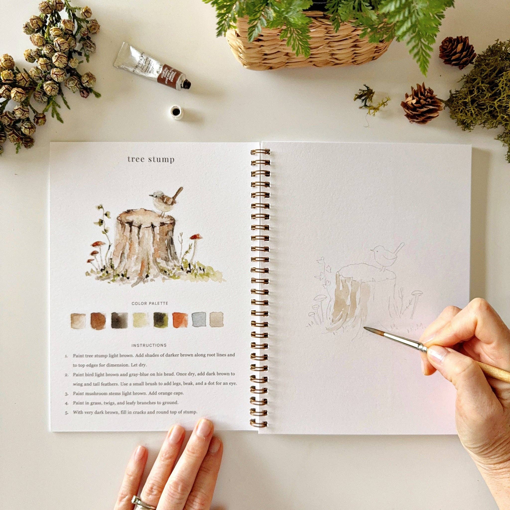 Woodland Watercolor Workbook - 12 Beginner-Friendly Paintings - Emily Lex Studio