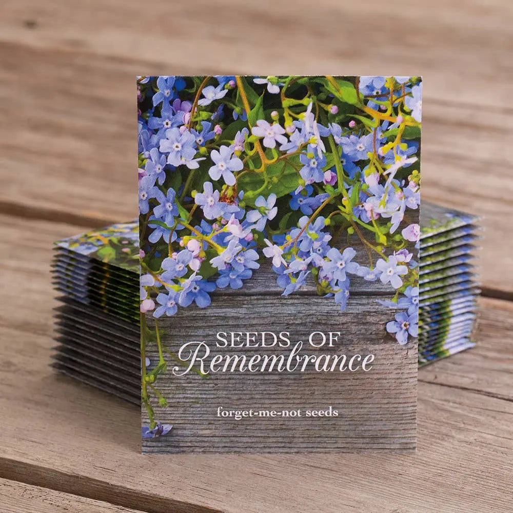 seeds to plant in memory Seeds of Remembrance Memorial - Forget Me Not Seed Packets