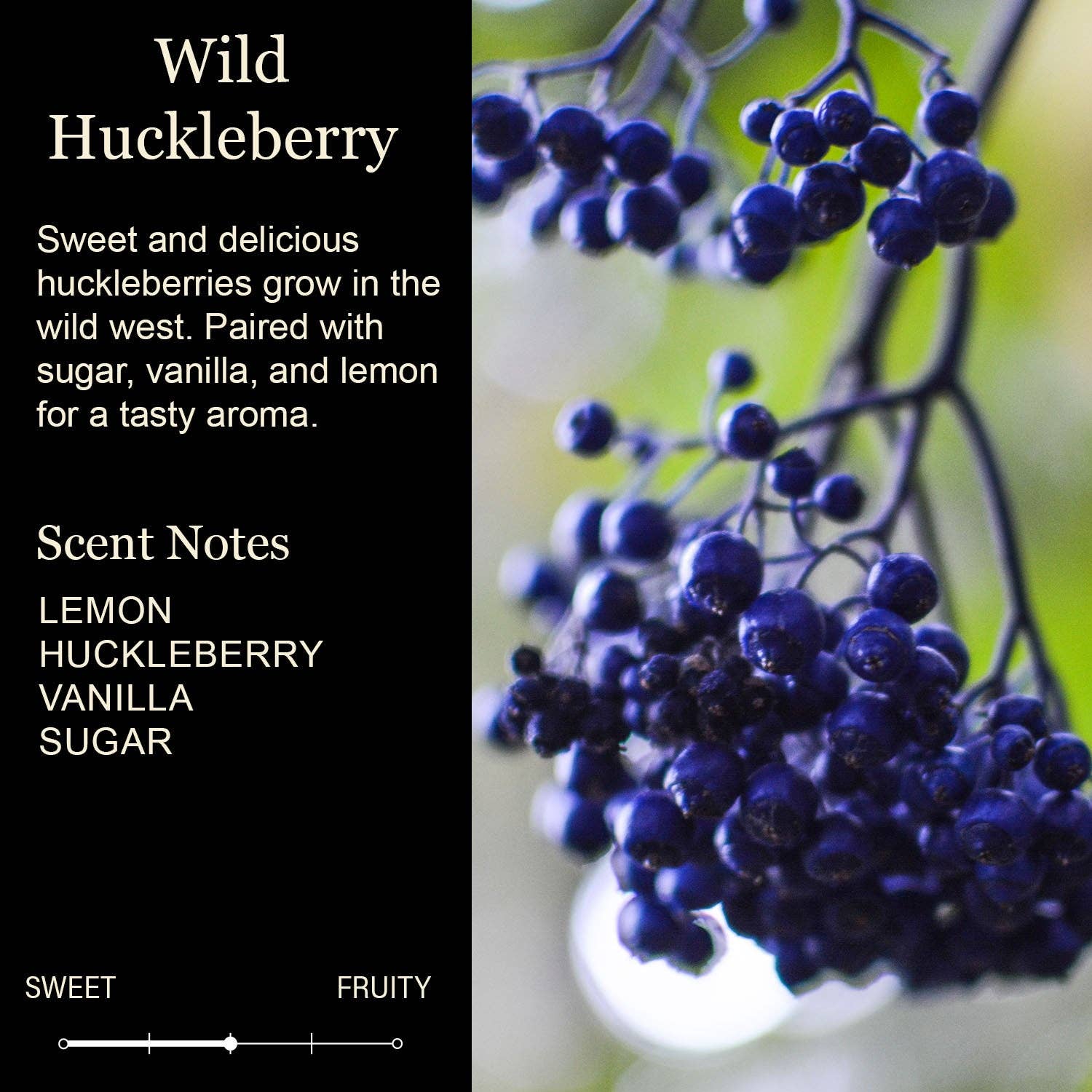 Cedar Crate Market - New Home New Adventures New Memories White Jar Candle