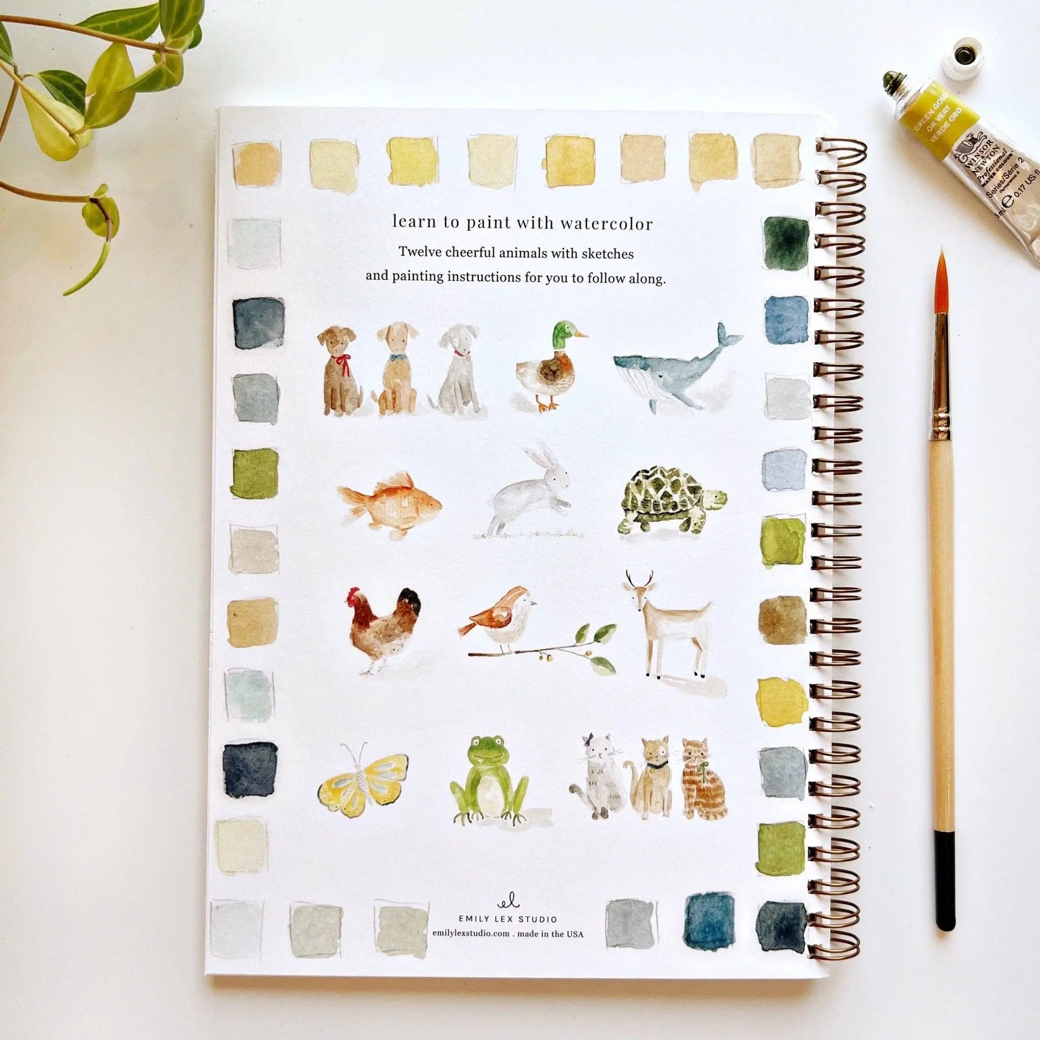 Animals Watercolor Workbook - 12 Beginner-Friendly Paintings - Emily Lex Studio