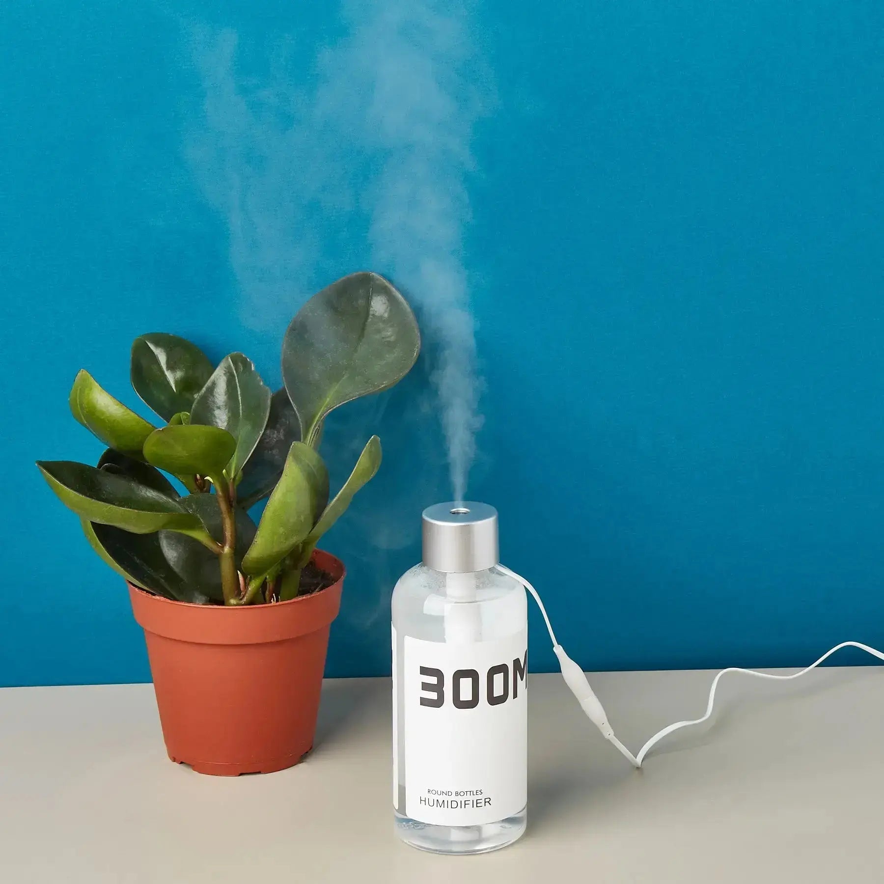 Mini Plant Humidifier 300ml | USB-Powered Indoor Plant Care