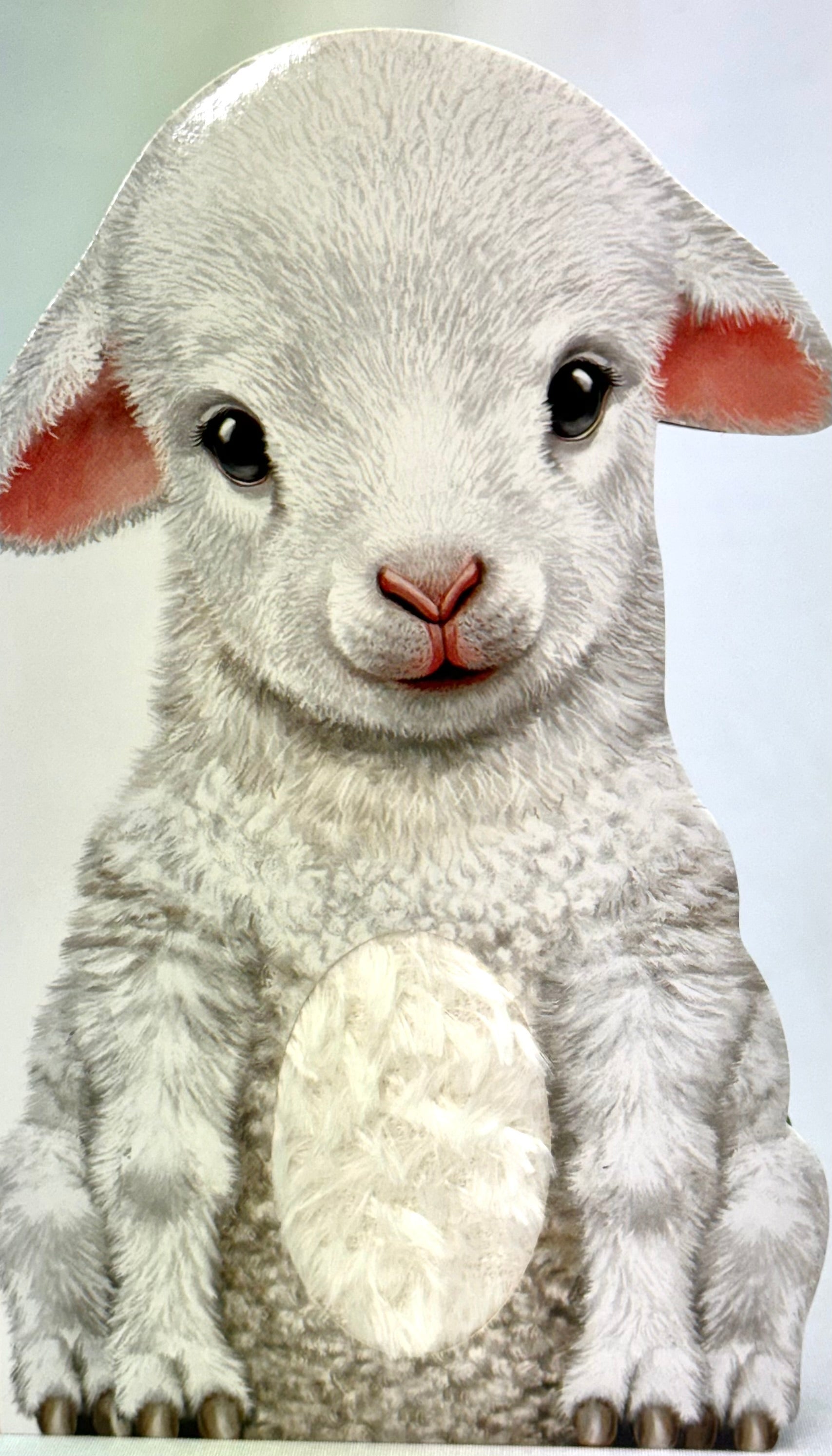 Furry Lamb With Fuzzy Tummy Board Book - Clearance