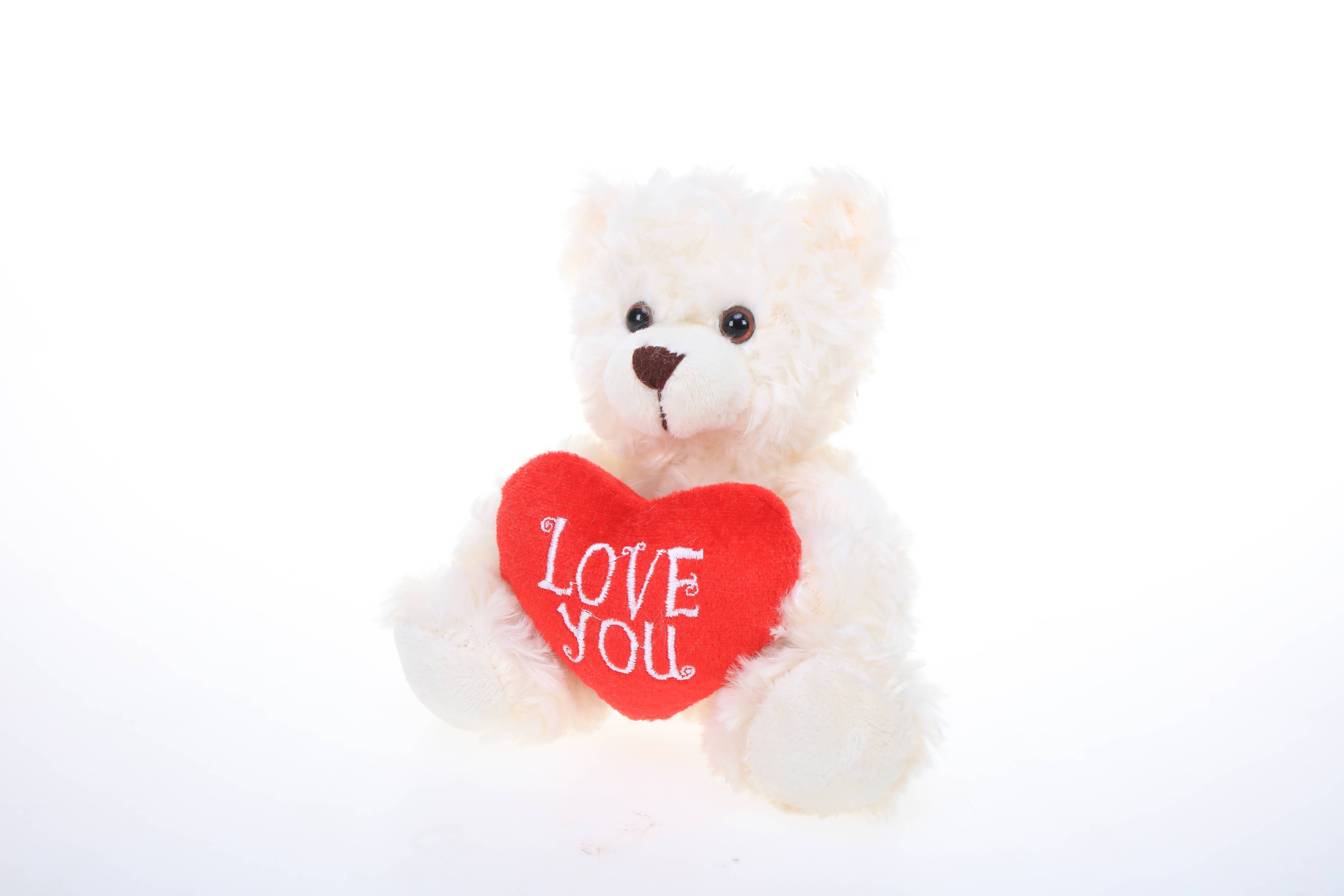 Bear with Love You Heart
